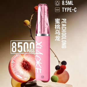 xiaoke 梟客 8500口一次性【顏值爆款：口紅系列】